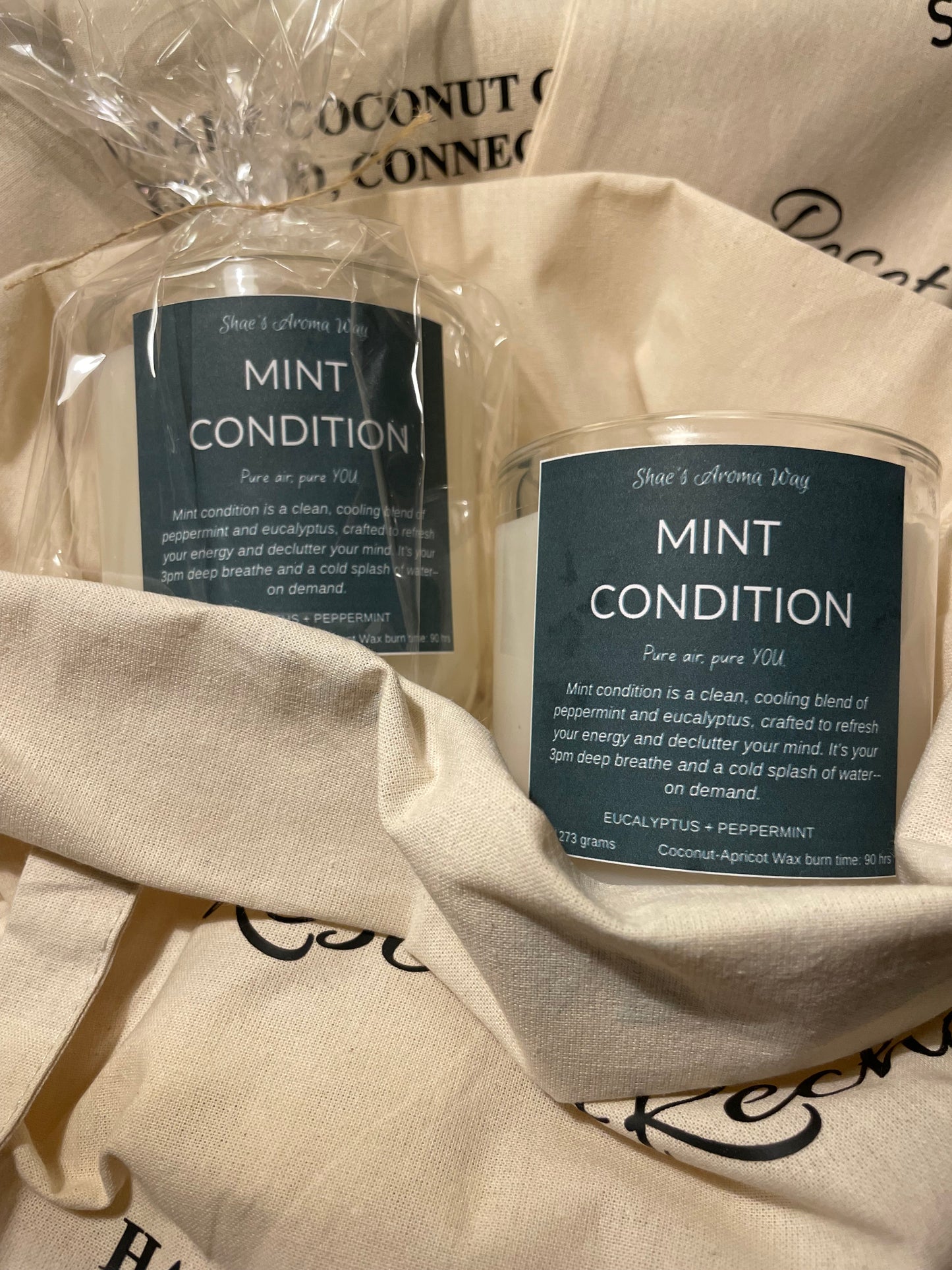 Mint Condition – Refreshing Eucalyptus & Peppermint Coconut Wax Candle (9oz)